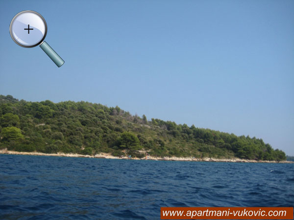Another photo of okrug Donji